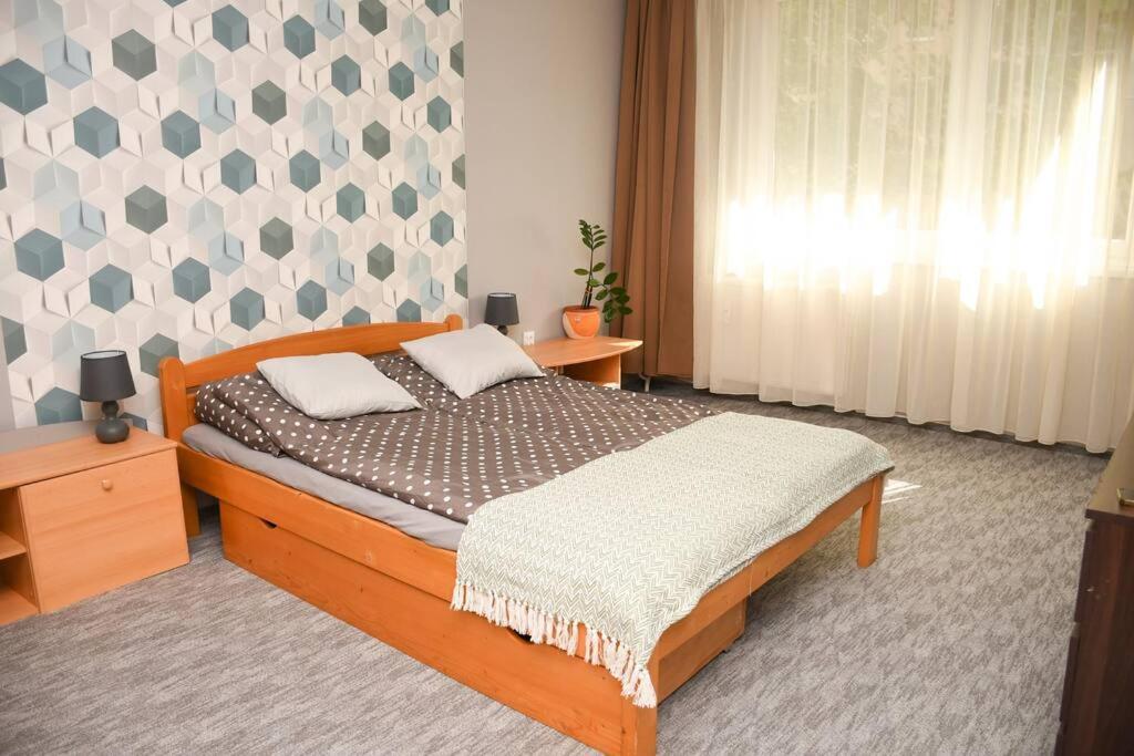 Dora Apartman Best Location & Free Parking Debrecen Exterior photo