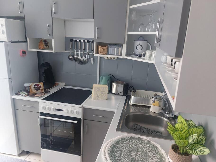 Dora Apartman Best Location & Free Parking Debrecen Exterior photo